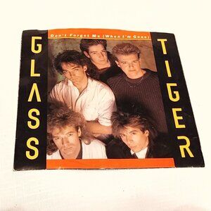 Rock Picture Sleeve 45 Glass Tiger - Don't Forget Me / Ancient Evenings …